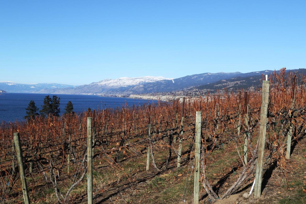 Hotel Sunshine And Wine Loft Penticton Exterior foto