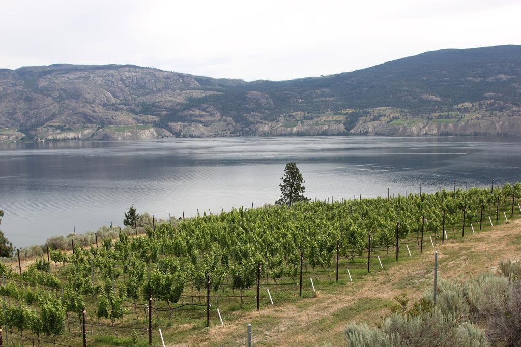 Hotel Sunshine And Wine Loft Penticton Exterior foto